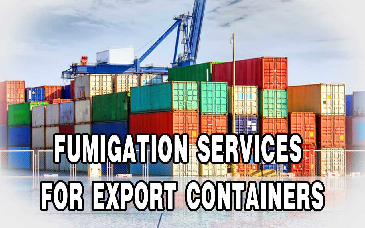 Fumigation Services for Export Containers