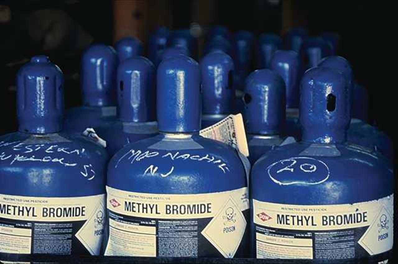 Methyl Bromide Fumigation